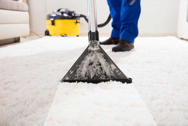 Quality-Carpet-Cleaning