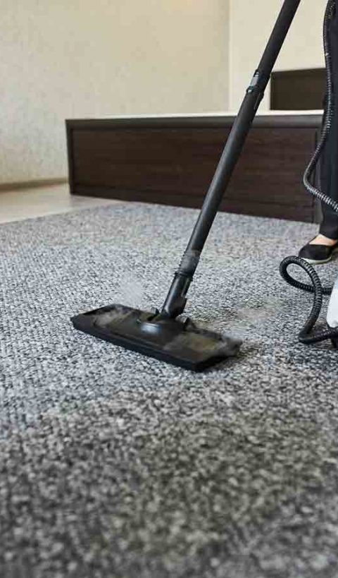 Carpet Cleaning